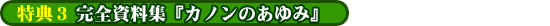 完全資料集『カノンのあゆみ』