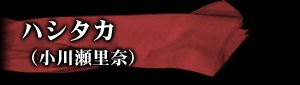 ハシタカ